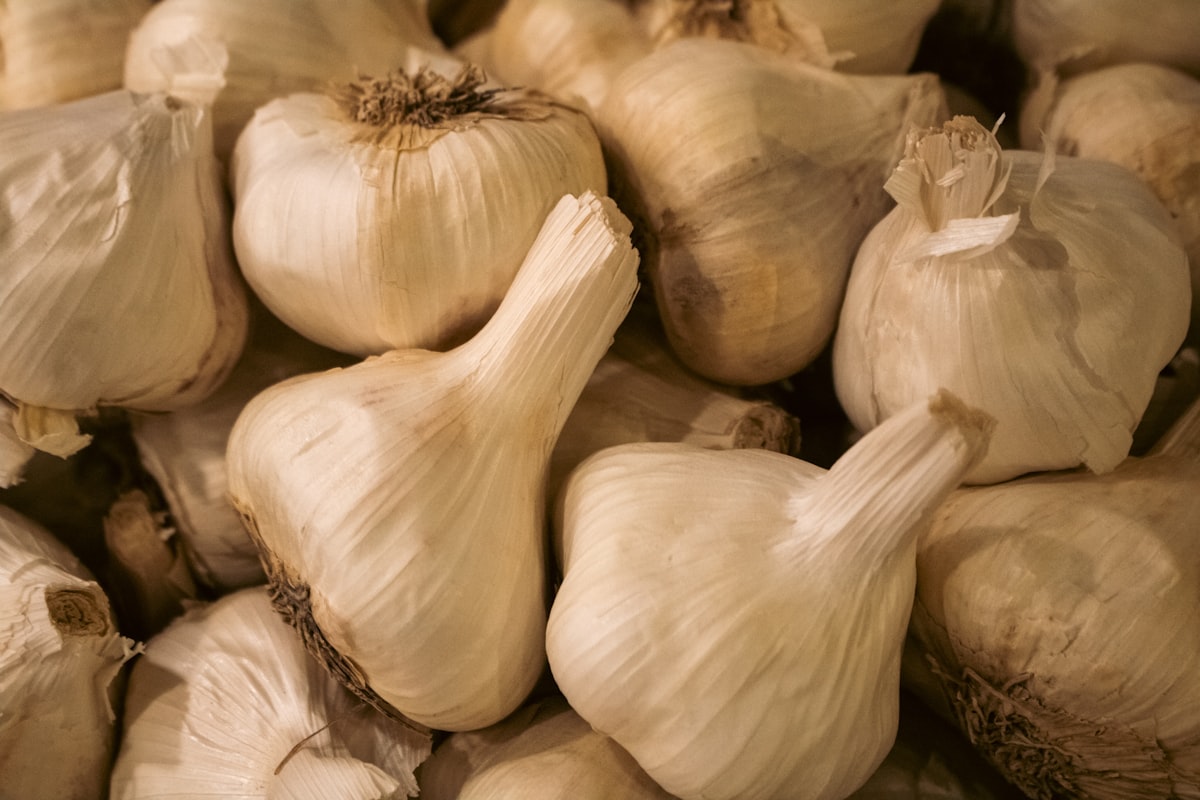 Varietà di aglio italiano premium